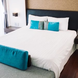 Microplush Duvet